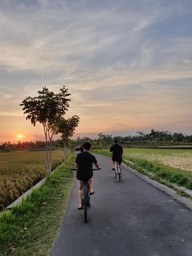 Hostel Borobudur Magelang