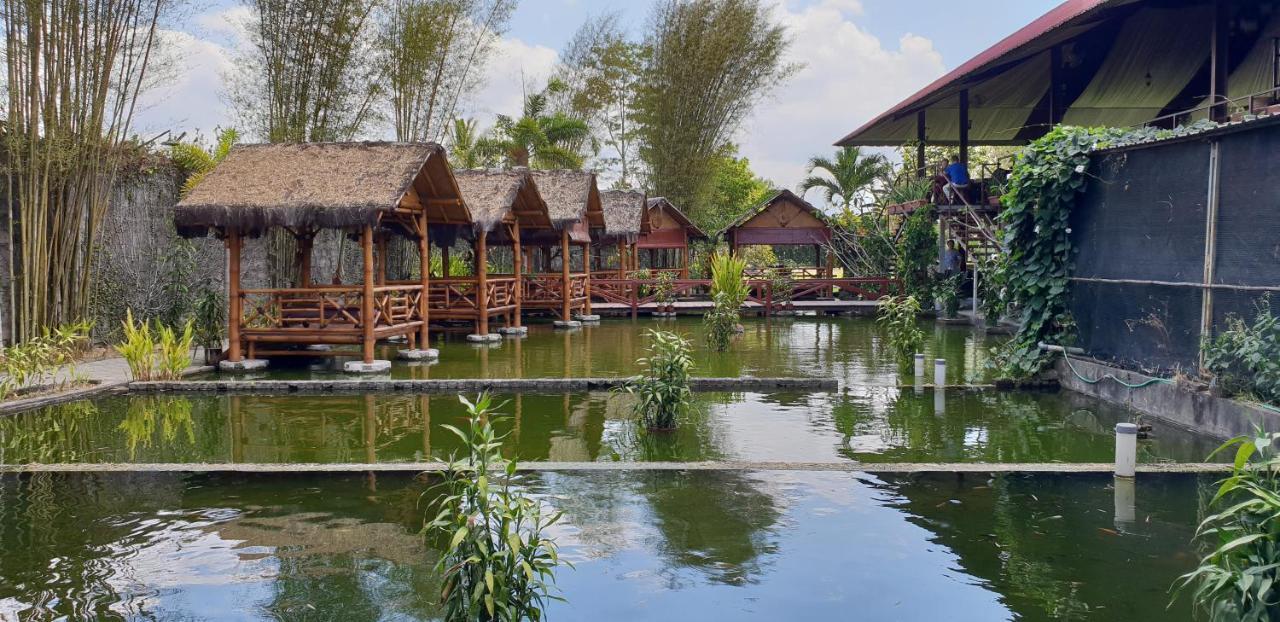 Hostel Borobudur